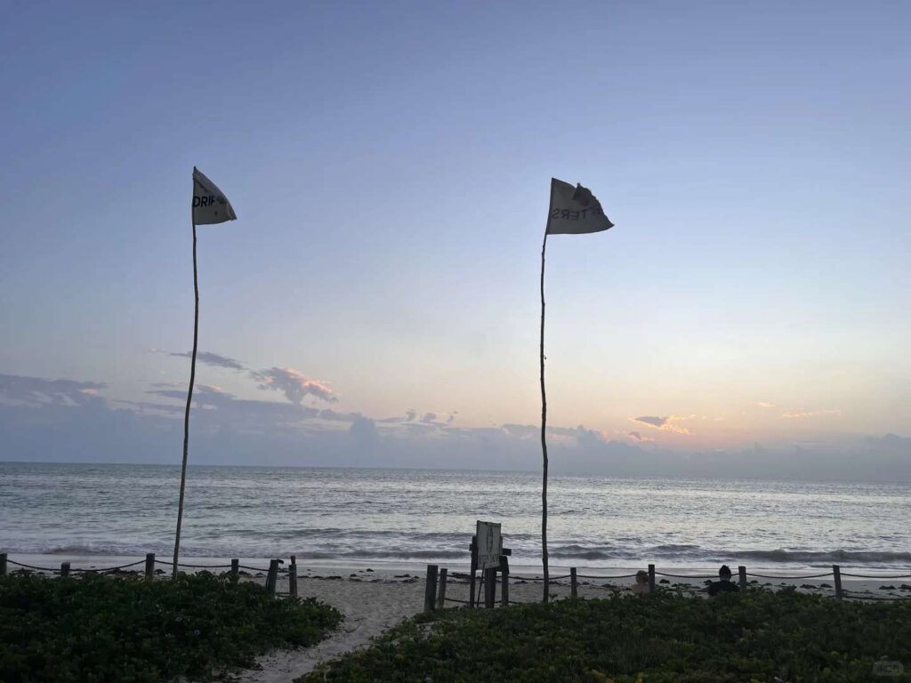 Unforgettable Stay at Drifter Zanzibar: Best Budget Hostel Experience on Zanzibar Island