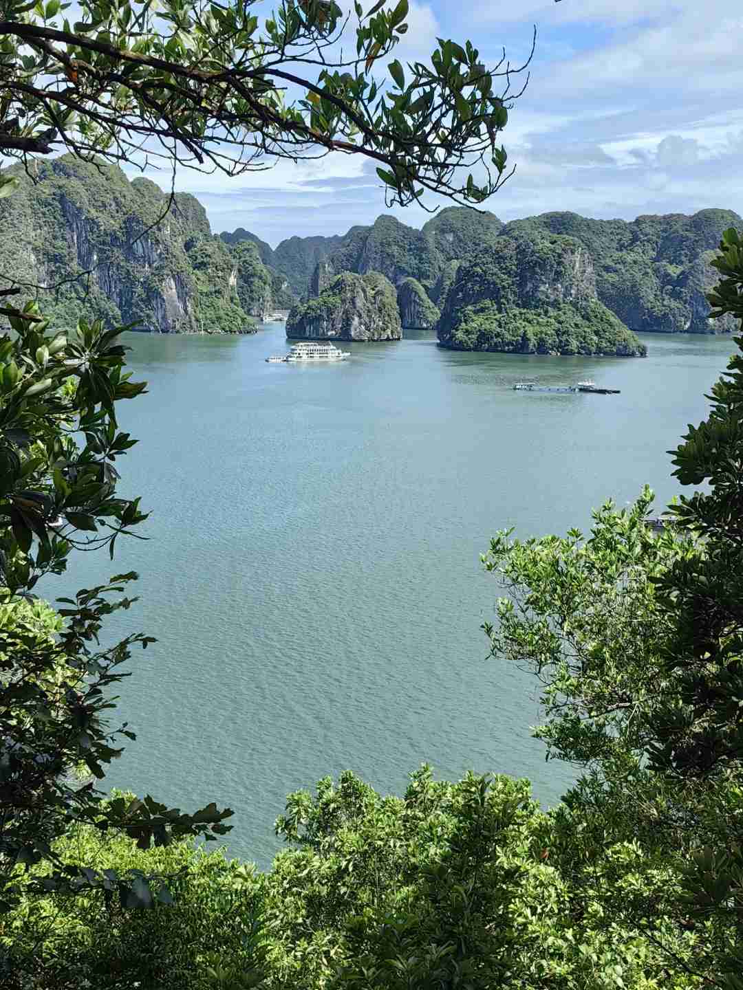 Guia de Viagem para a Baía de Ha Long no Vietnã: Maravilhas Cênicas que Ate os Locais de Guangxi Acham Impressionantes