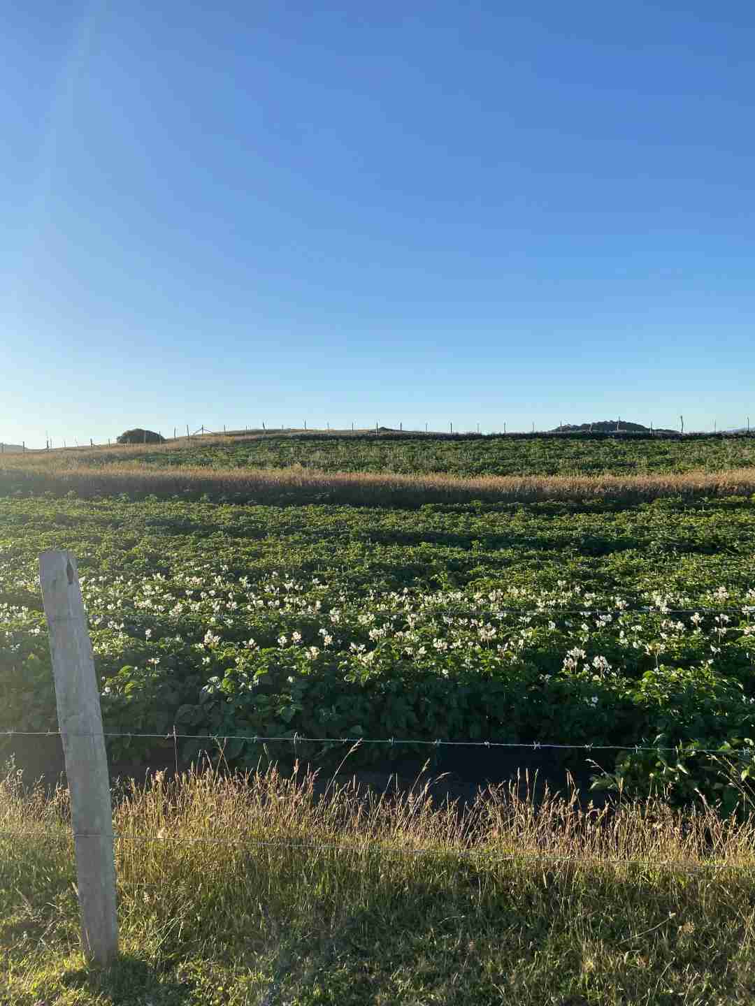 What's the Best Self-Guided Tour Route for Exploring Ancud Scenery on a Budget?