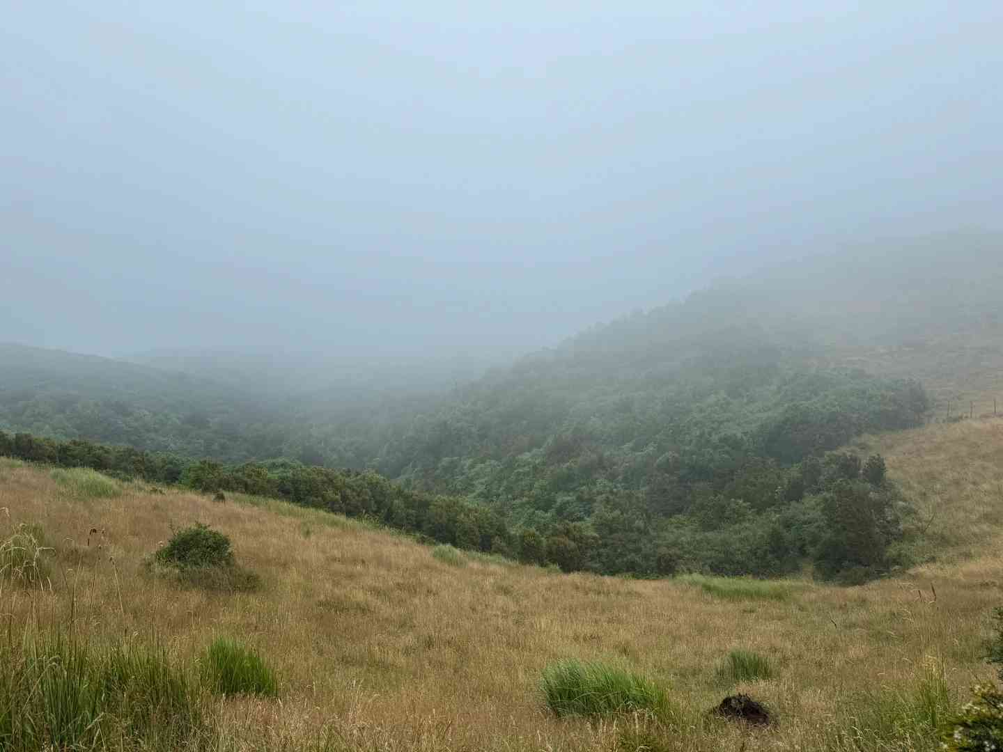 Quelle est la meilleure itinéraire de visite autoguidée pour une aventure par temps de pluie ?
