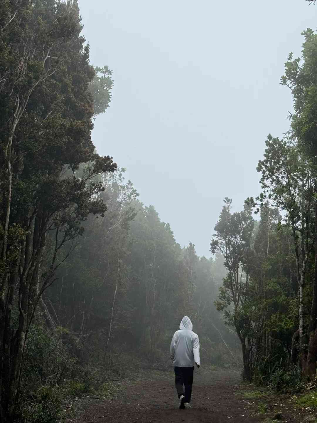 Quelle est la meilleure itinéraire de visite autoguidée pour une aventure par temps de pluie ?