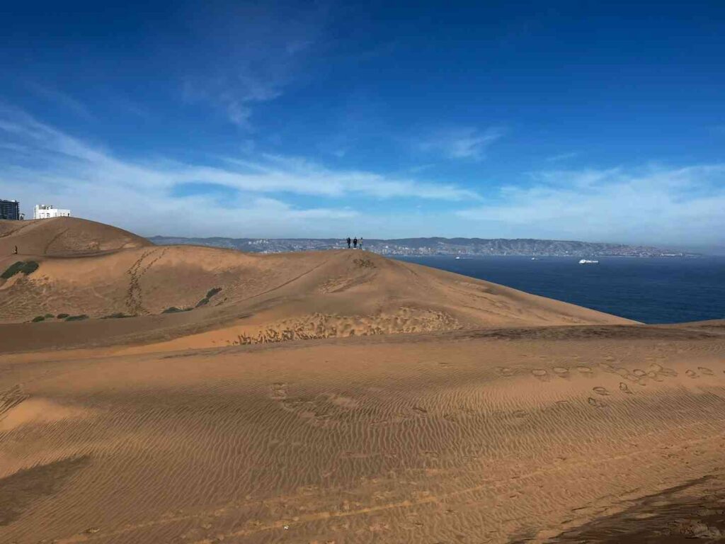 Where to Find the Best Budget-Friendly Activities in Viña del Mar This Summer?