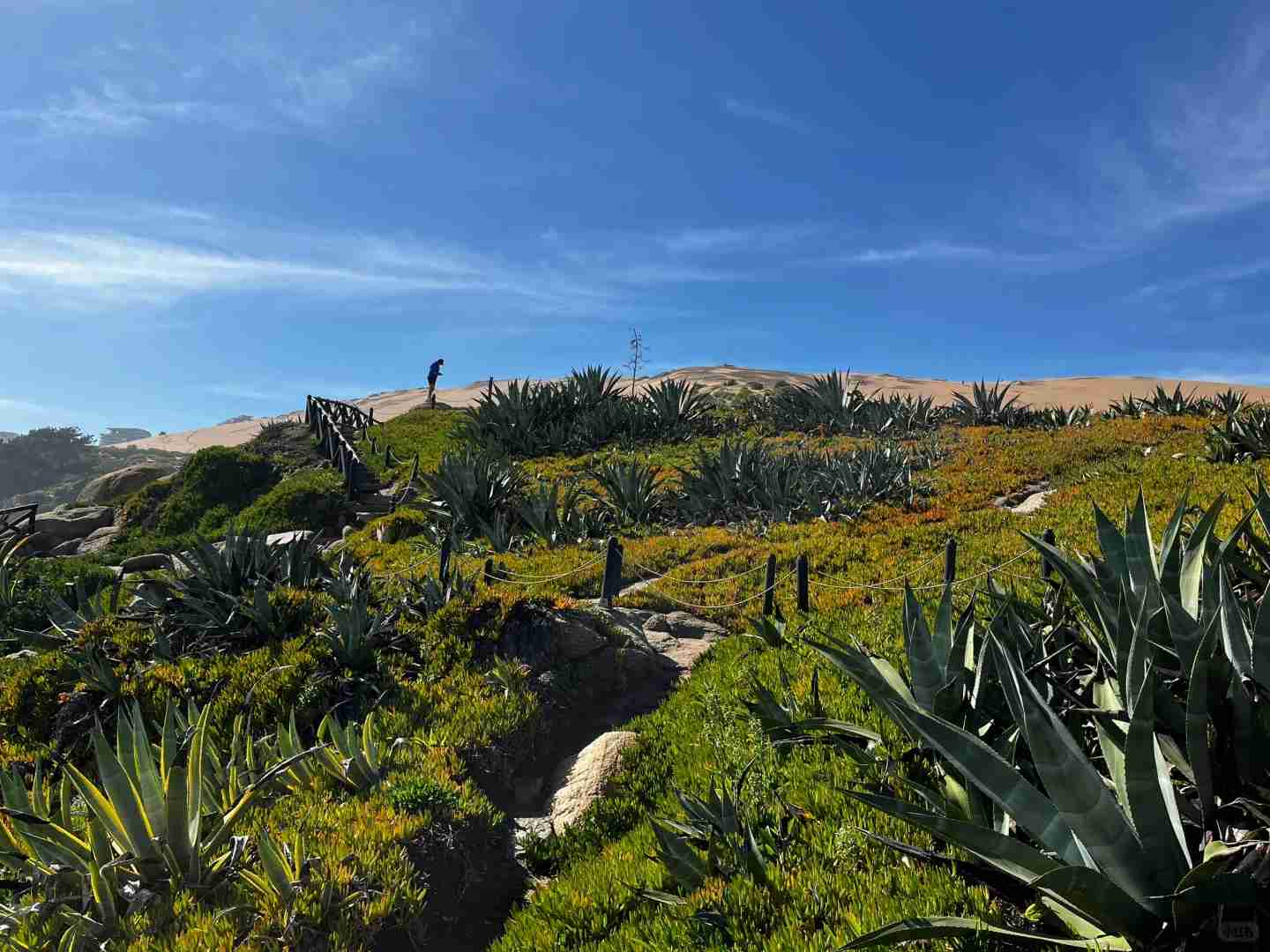 Where to Find the Best Budget-Friendly Activities in Viña del Mar This Summer?