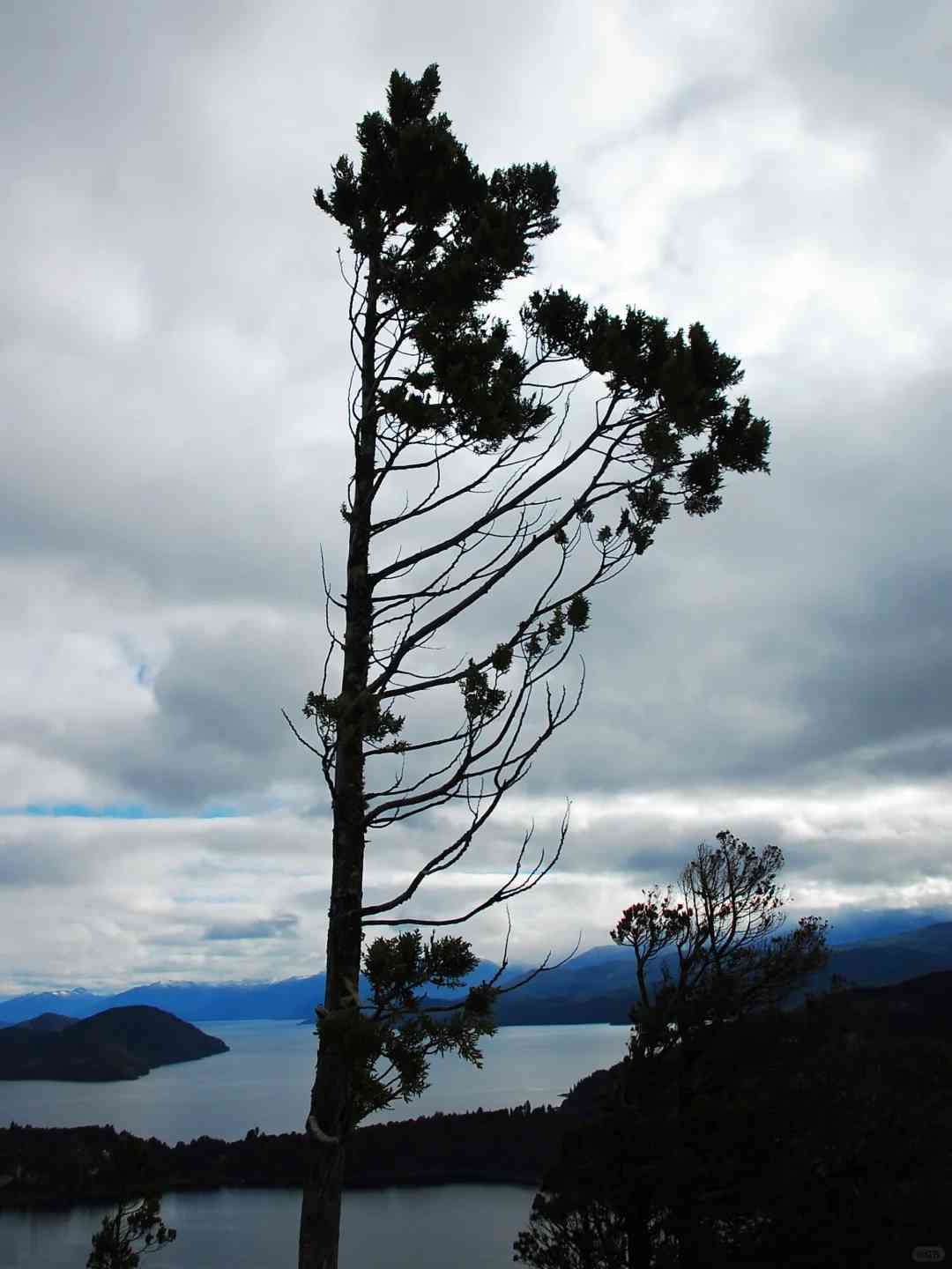 Where to Find the Best Views in Bariloche: Bell Tower Hill in Spring 🇦🇷
