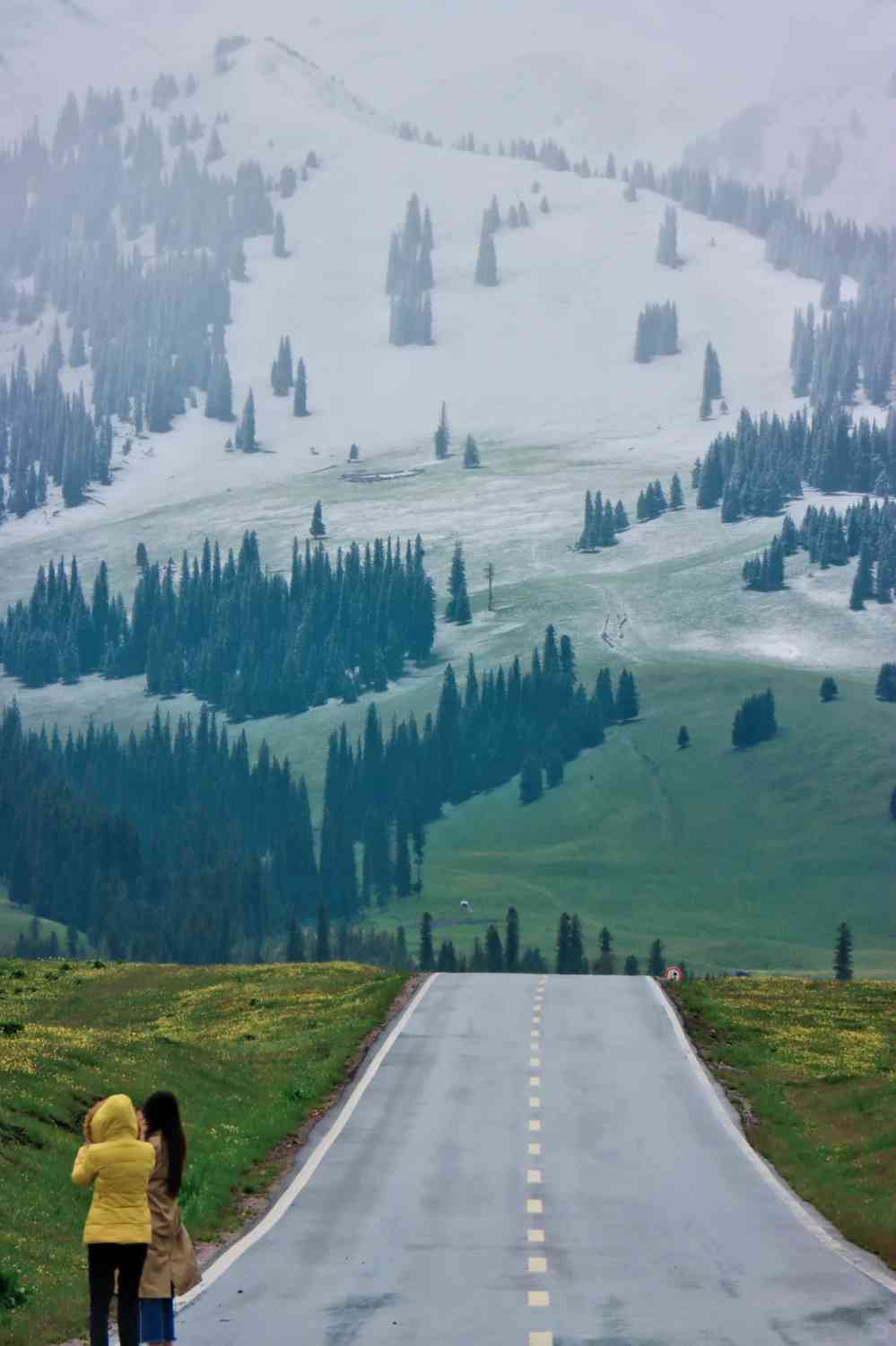Where to Find the Most Beautiful Grasslands in Xinjiang for a Summer Trip?