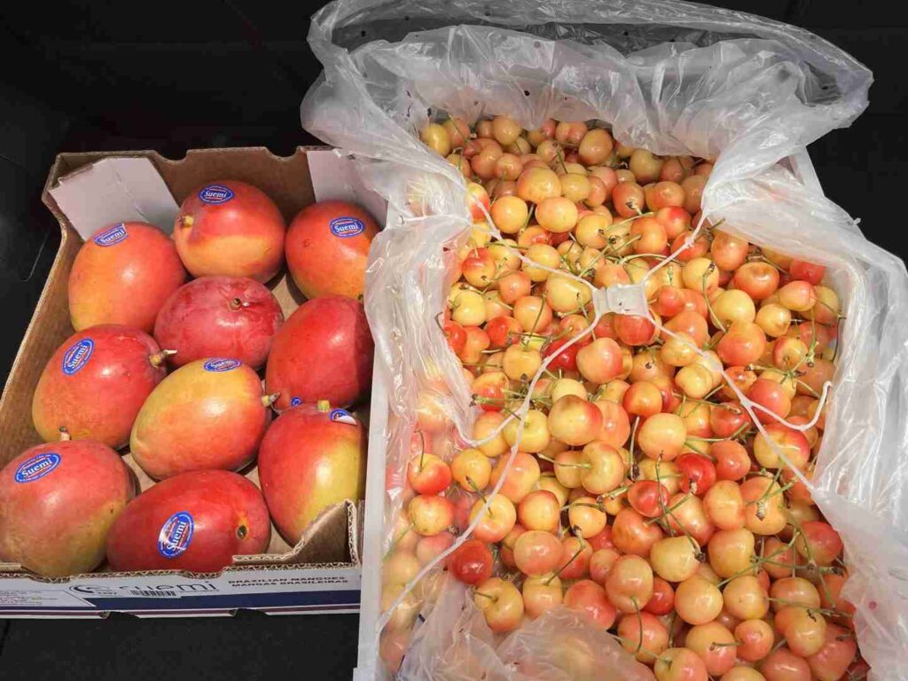Where to enjoy cherry picking in the Southern Hemisphere this summer?