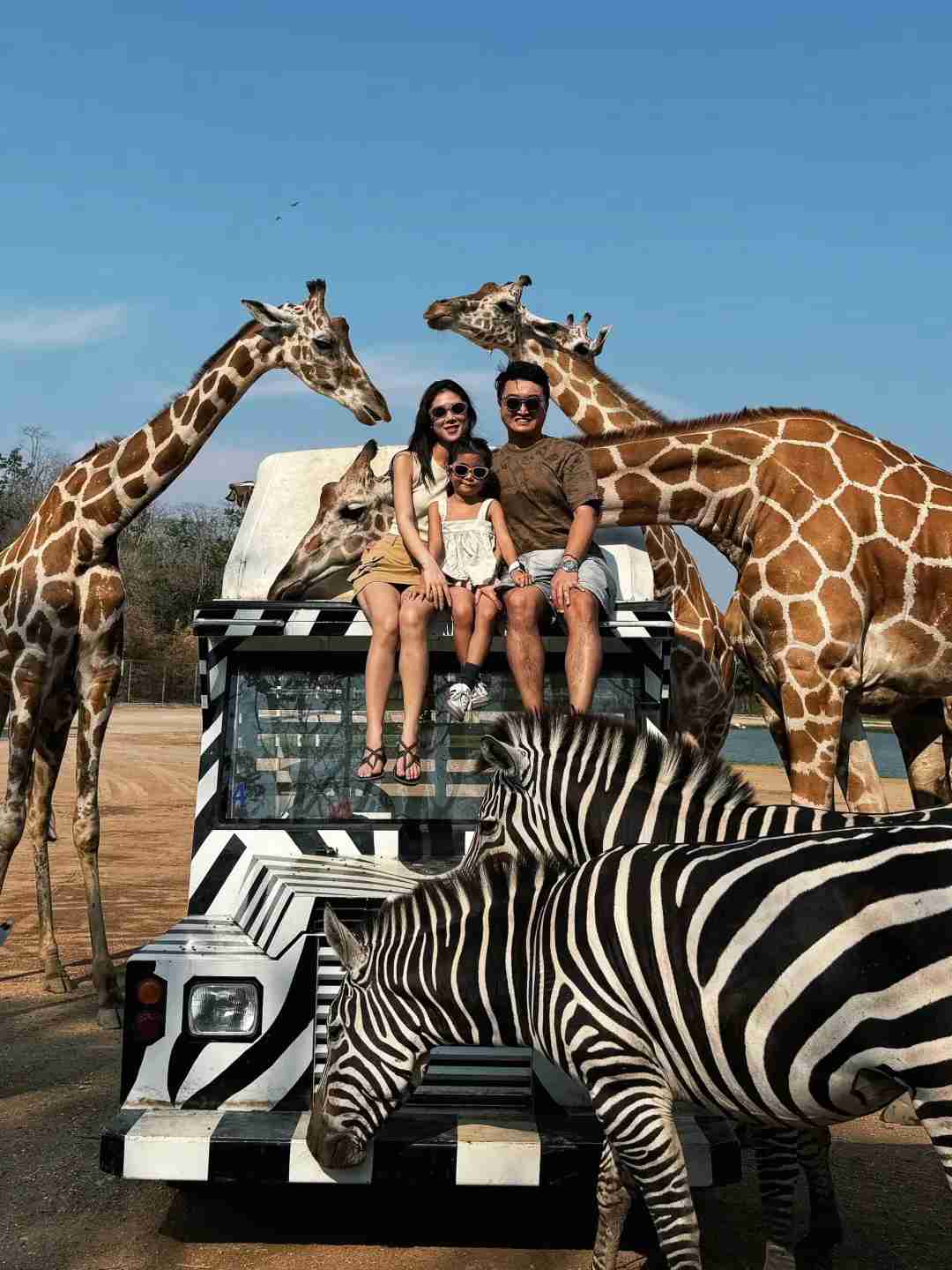 Why 100 Zoo Trips Can't Beat One Family Safari Adventure in Kenya 🇰🇪