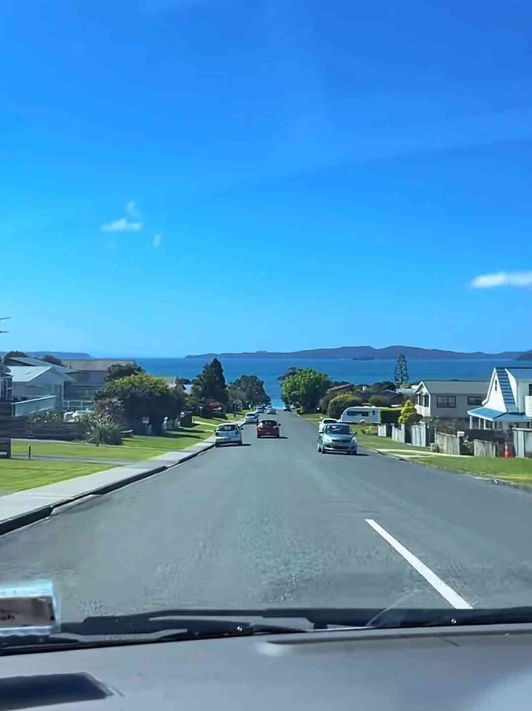 Why Are Many Chinese Families Choosing to Immigrate to New Zealand in 2023?