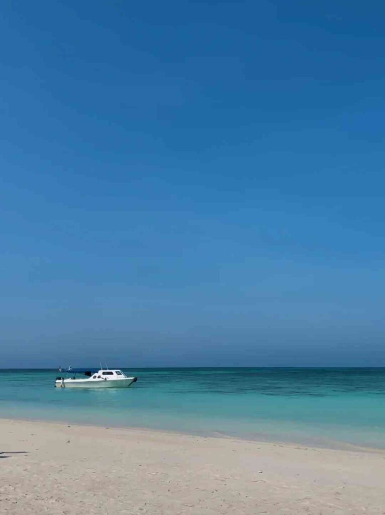 Pourquoi Kota Kinabalu n’est peut-être pas le lieu de vacances idéal pour tout le monde 😅