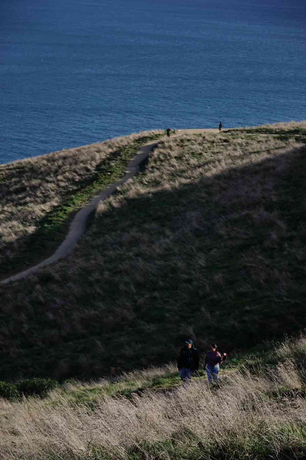 Por que Você Deveria Repensar em Visitar Dunedin Vindo de Queenstown Este Ano
