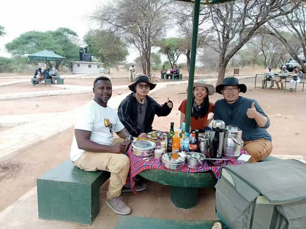 -Year Tanzania Travel Guide: Best Safari Tours & Hidden Gems to Explore in 2025
