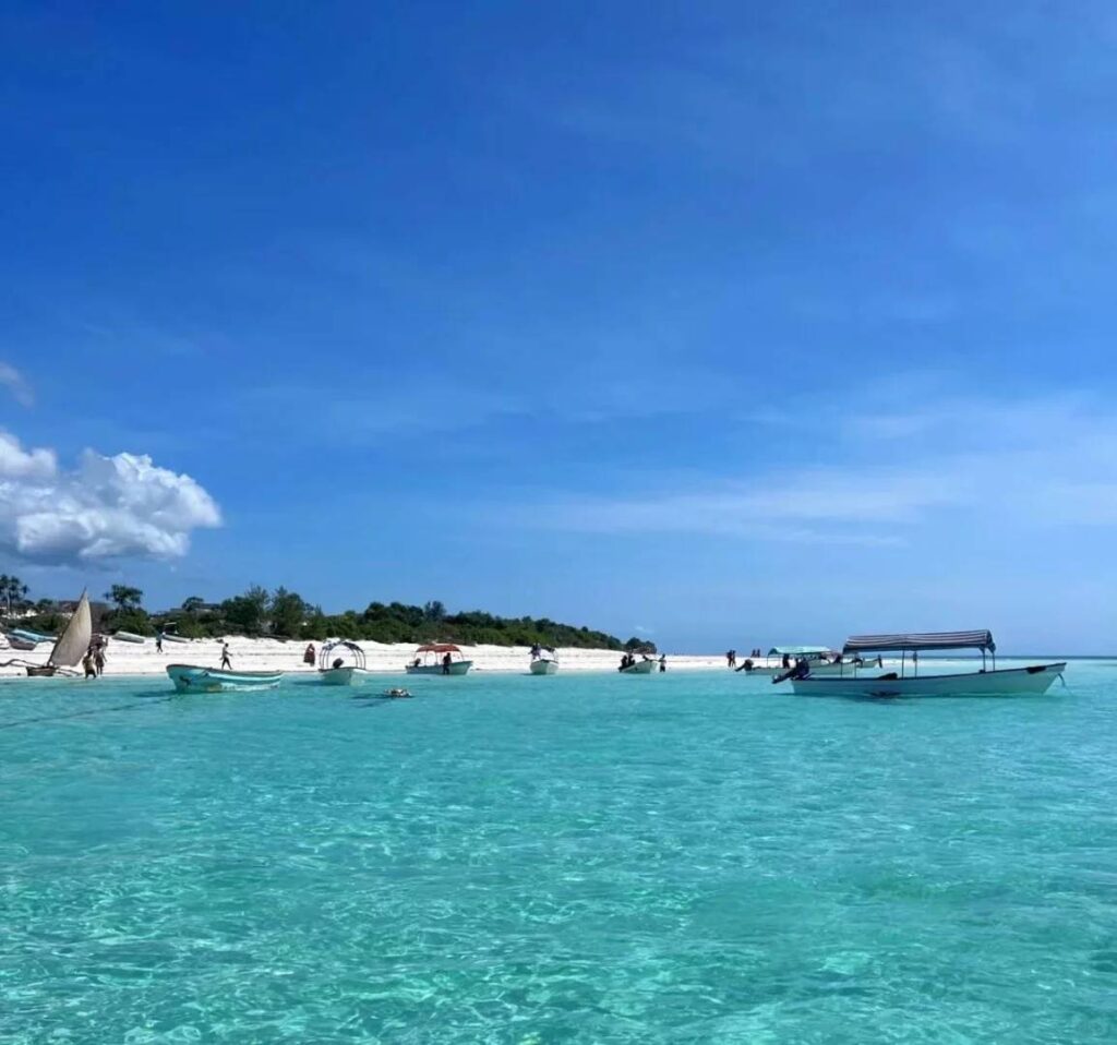 Zanzibar Consequences for P-Type Personalities: Why Planning Ahead is Crucial