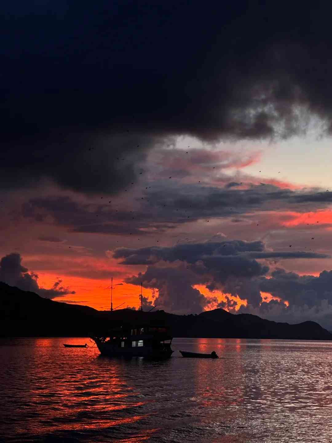🇮🇩｜Is This Untouched Wild Man's Paradise in Indonesia the Last Frontier?