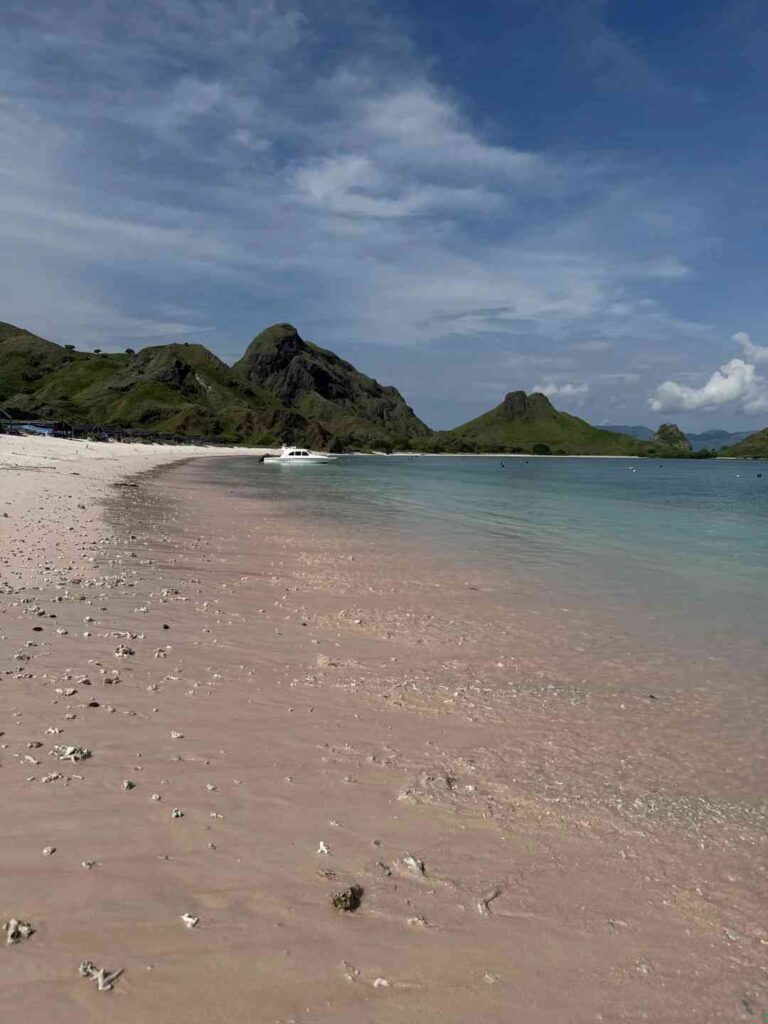 🇮🇩｜Unforgettable Komodo Day Trip: Explore Rare Wildlife & Scenic Beauty