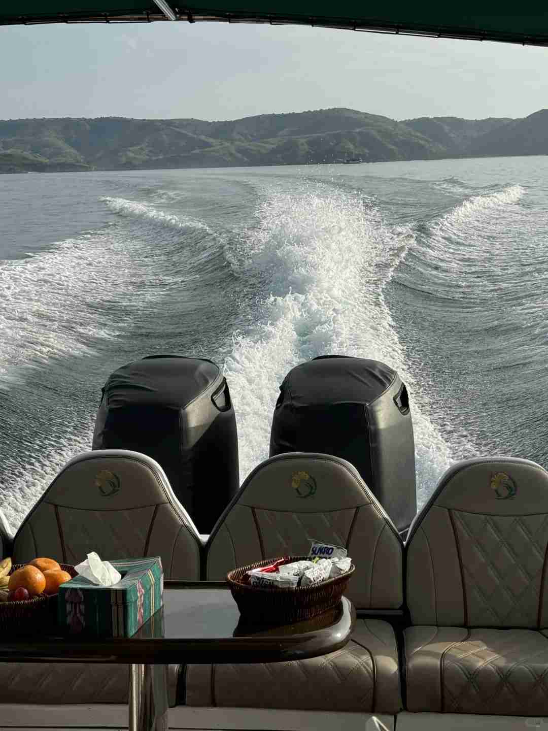 🇮🇩｜Unforgettable Komodo Day Trip: Explore Rare Wildlife & Scenic Beauty