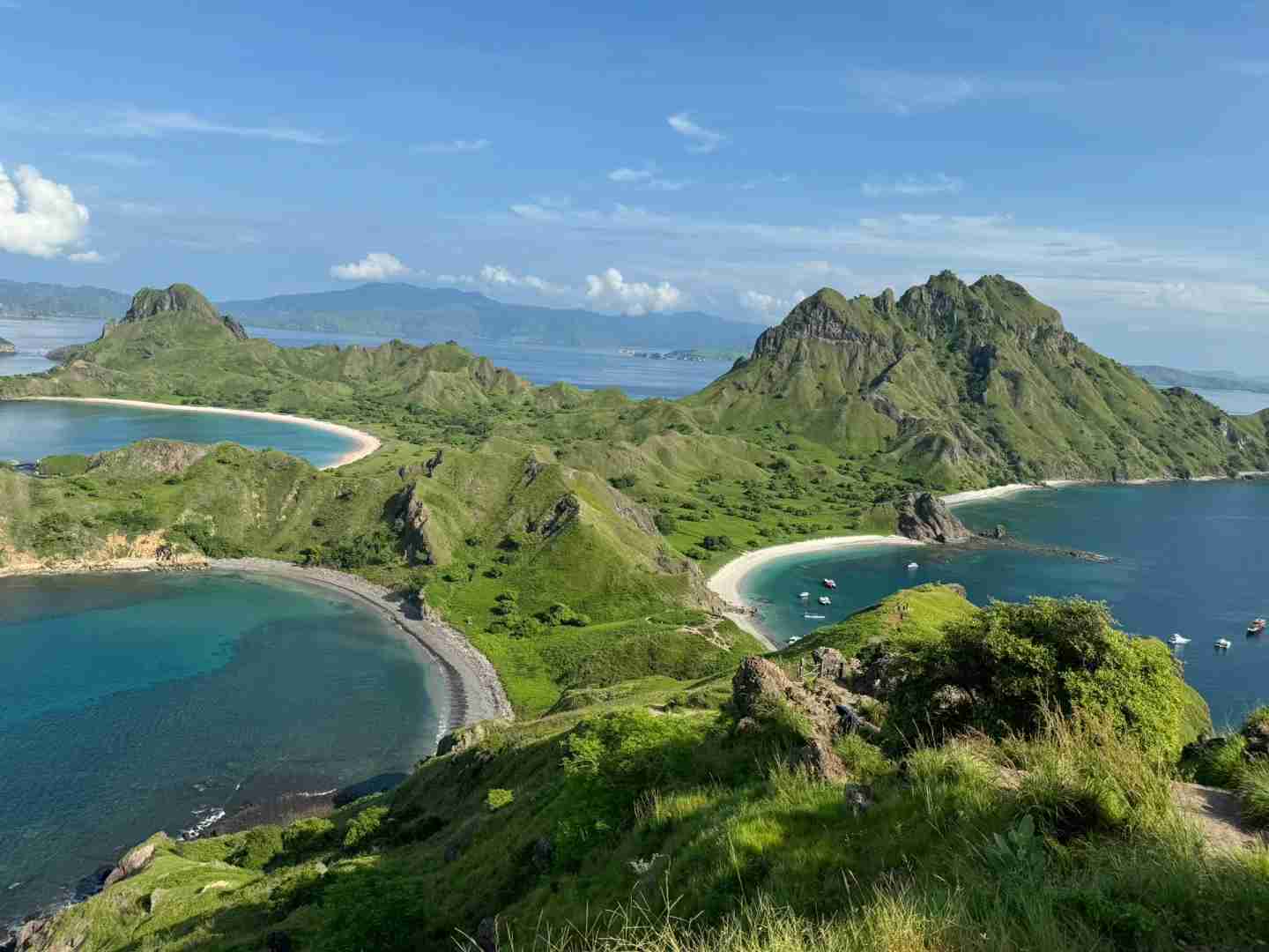 🇮🇩｜Unforgettable Komodo Day Trip: Explore Rare Wildlife & Scenic Beauty
