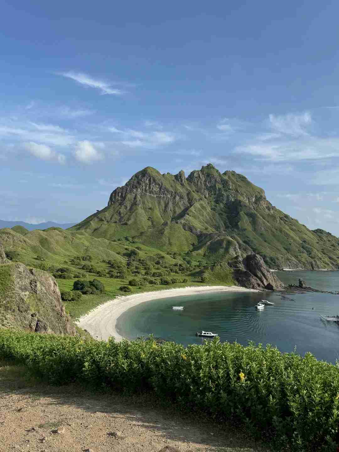 🇮🇩｜Unforgettable Komodo Day Trip: Explore Rare Wildlife & Scenic Beauty