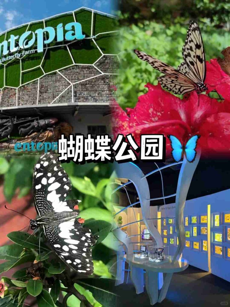 🇲🇾Must-Visit Attractions in Penang: Top Spots for Tourists to Explore
