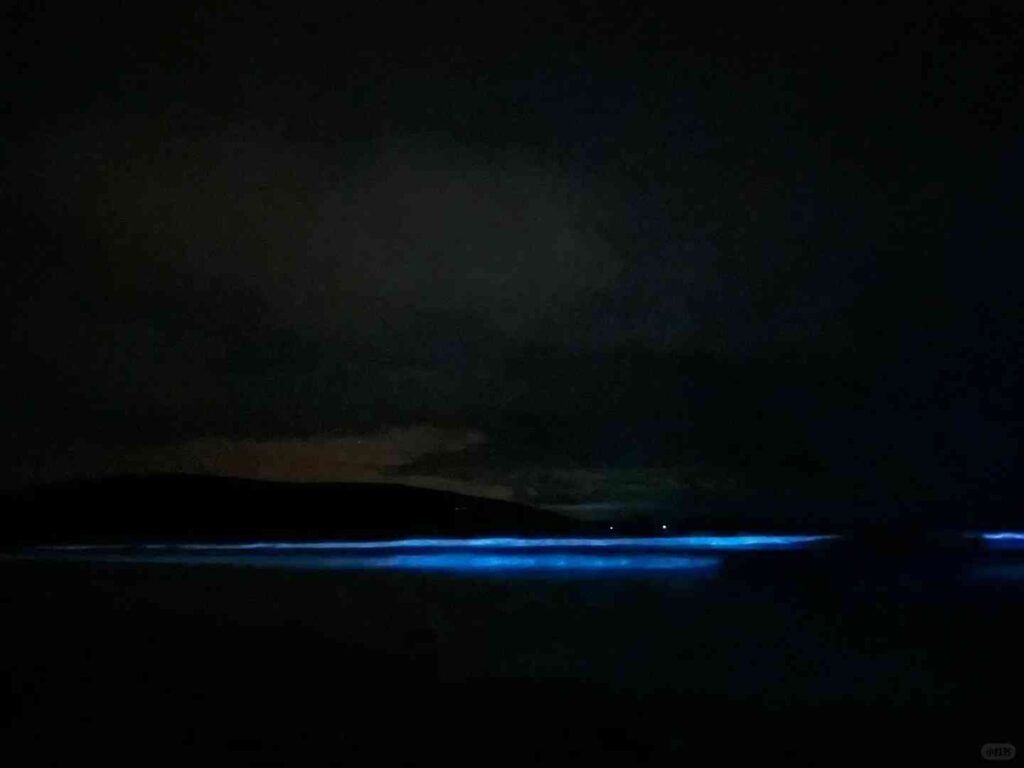 タスマニアの夜空の不思議：オーロラ、流星、银河、そしてブルーティアーズ観賞