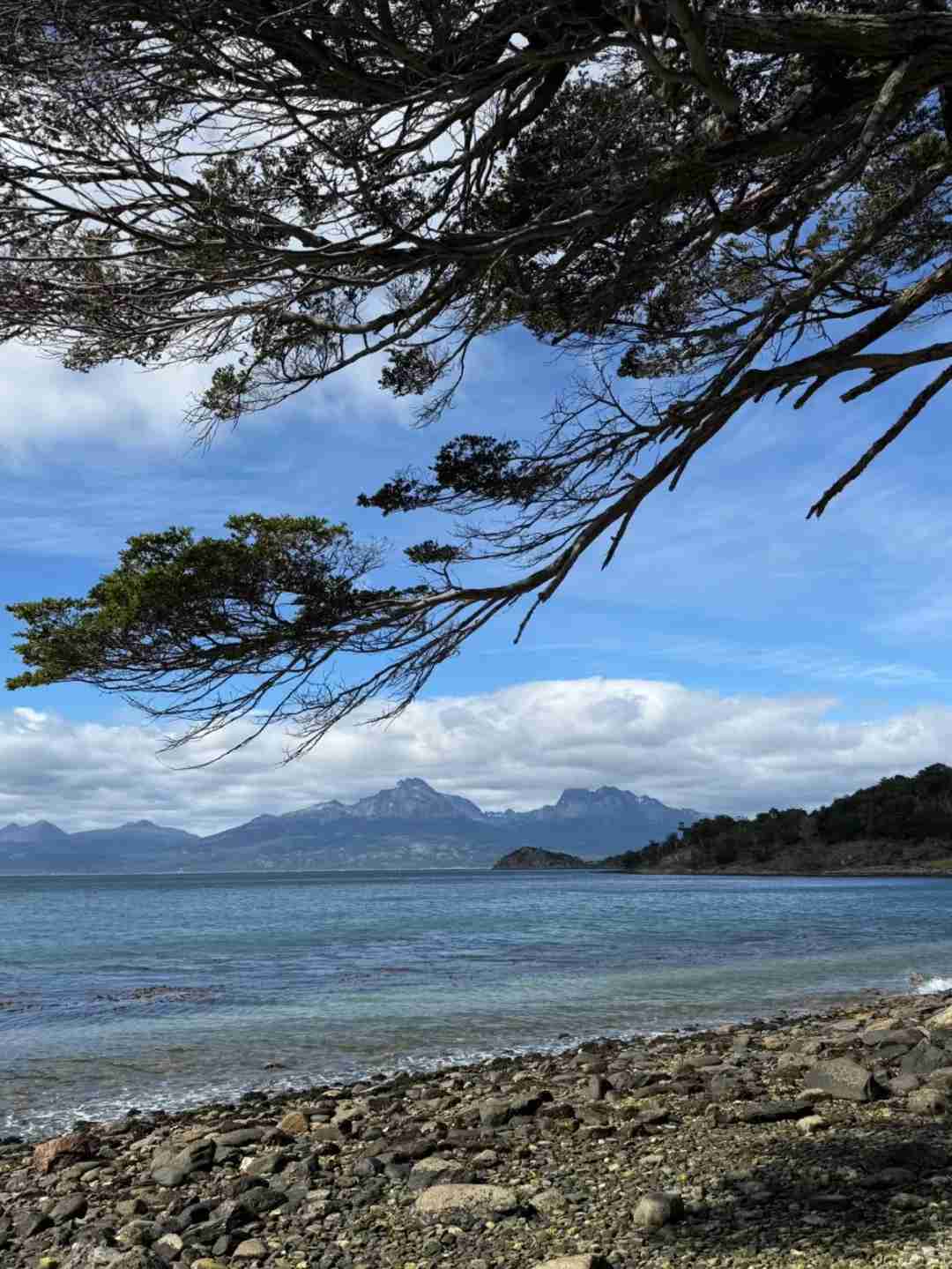 🌍 Explore Ushuaia: The End of the World and Gateway to Antarctica Adventure