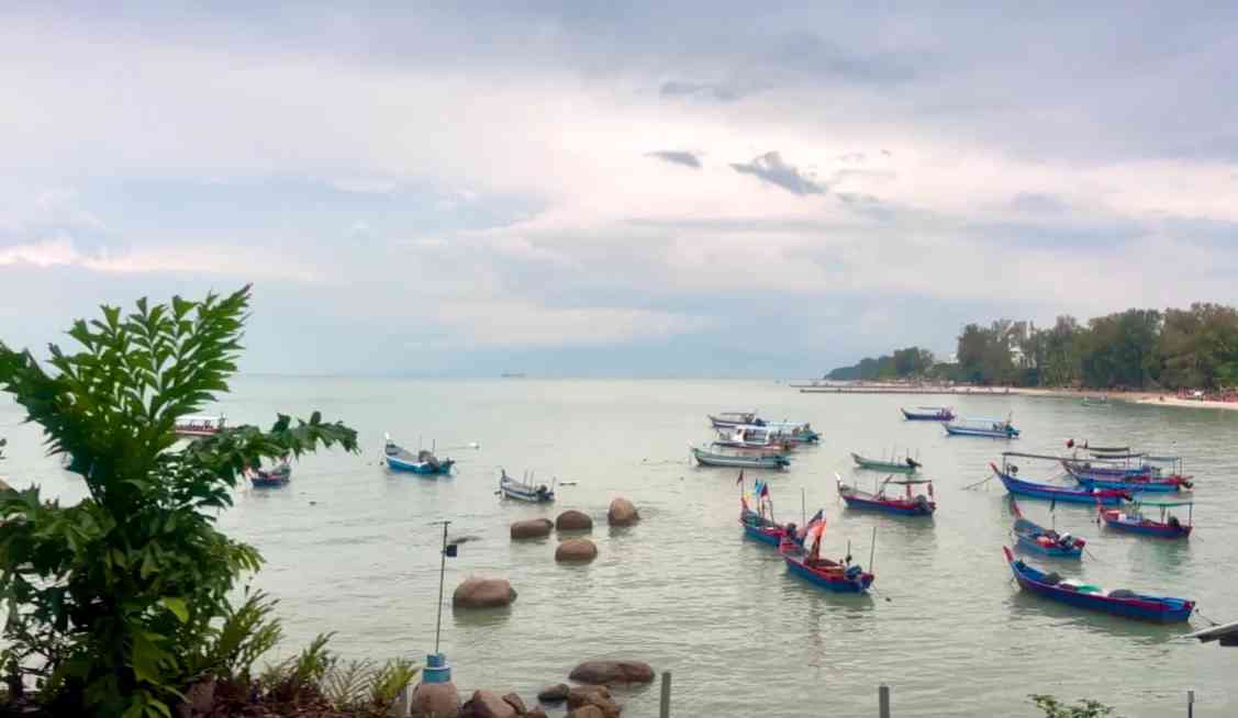 🌟【Penang Hidden Gem: Cat Beach Sanctuary for Ultimate Relaxation and Healing】