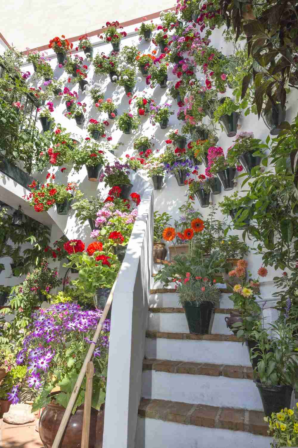 🌸Spring Limited Offer: Explore Cordoba Patio Festival, Spain's Cultural Gem