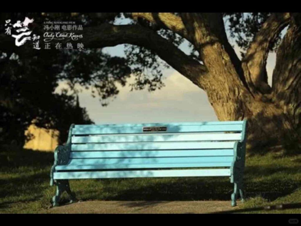 📍Explore Auckland: Visite os locais de filmagem de "Only You Know" e os tesouros escondidos.📍