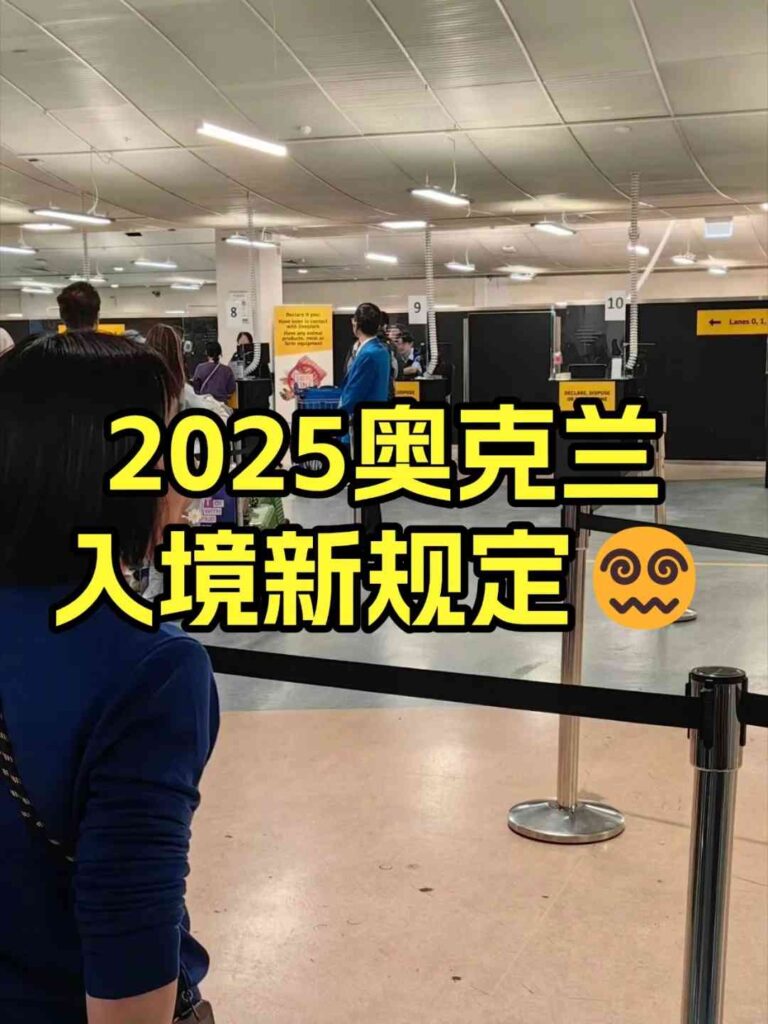 😍ついに、誰かが観光客向けにオークランドへの入国手続きを明確に説明してくれた！