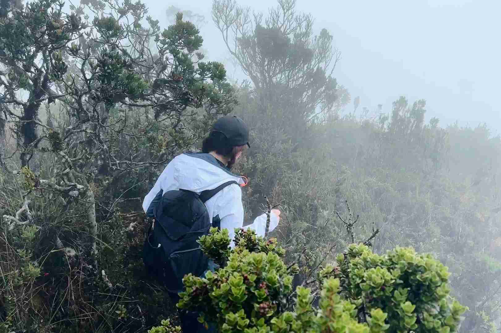 Best 10km Hiking Trails and Mountain Climbing Spots Near Bogota Colombia ⛰️