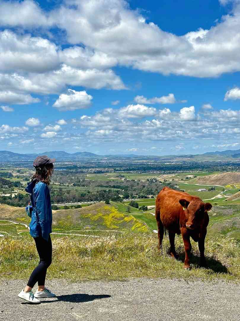 Beste Wanderwege im Bay Area für Naturfreunde | Top 2 zu besuchende Pfade