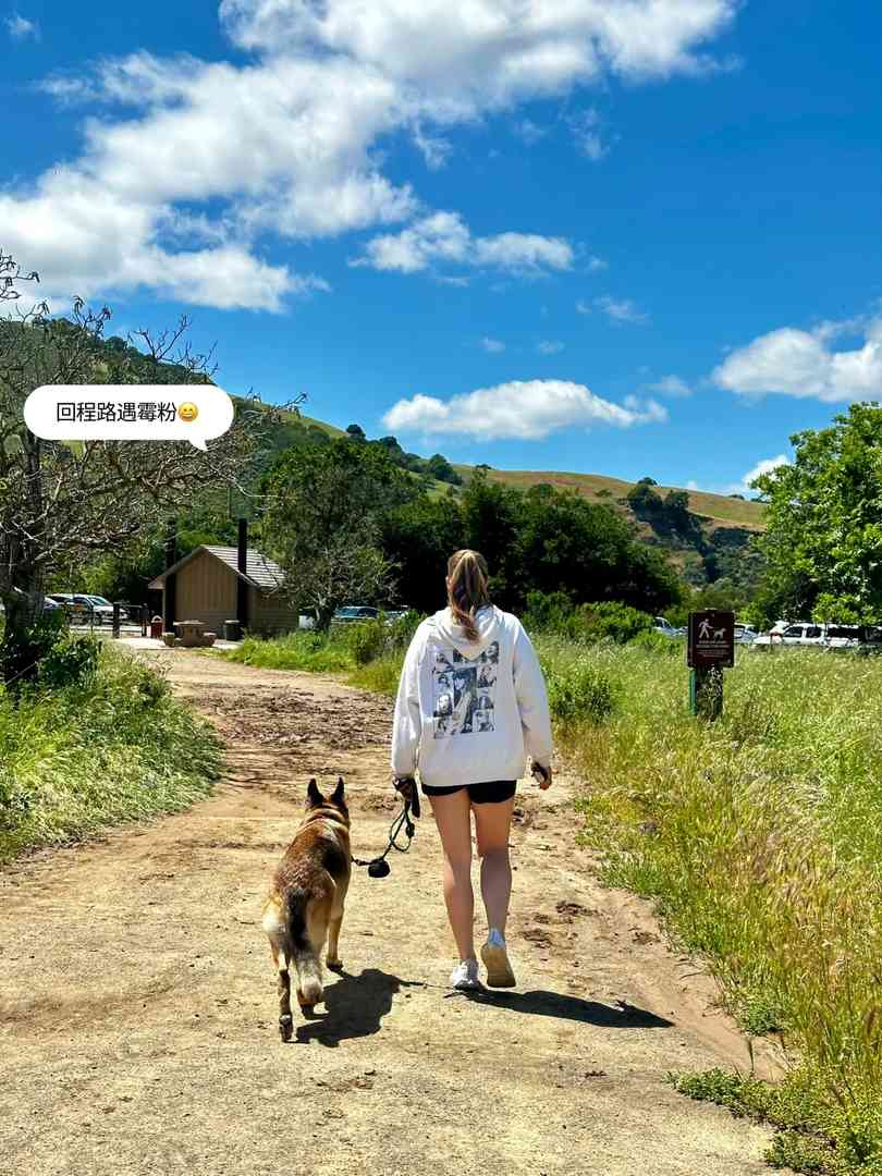 Beste Wanderwege im Bay Area für Naturfreunde | Top 2 zu besuchende Pfade