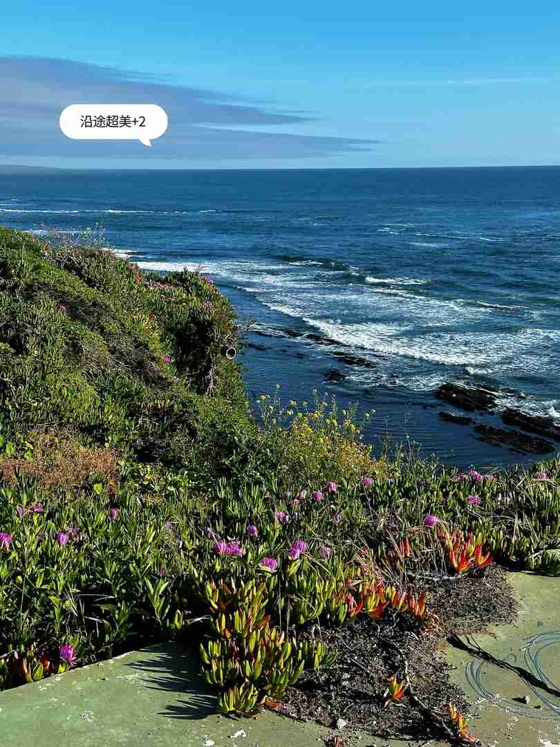 Beste Wanderwege im Bay Area für Naturfreunde | Top 2 zu besuchende Pfade