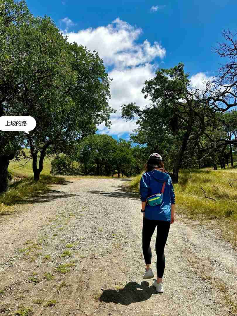 Beste Wanderwege im Bay Area für Naturfreunde | Top 2 zu besuchende Pfade