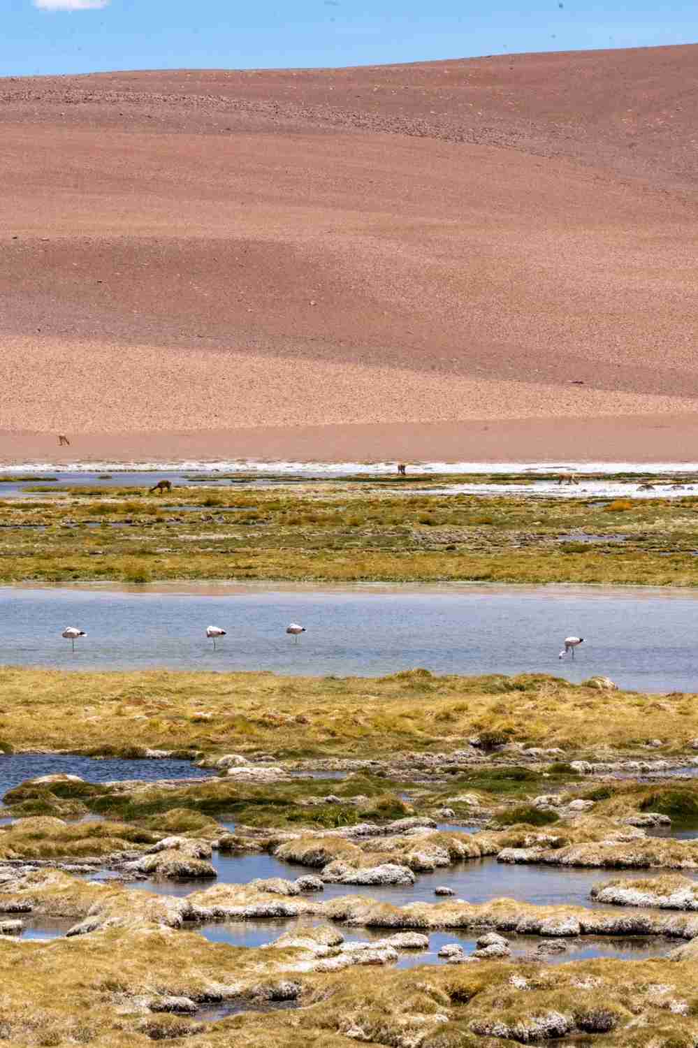 Best Self-Guided Tour Routes & Budget Tips for Chile's Atacama Desert?
