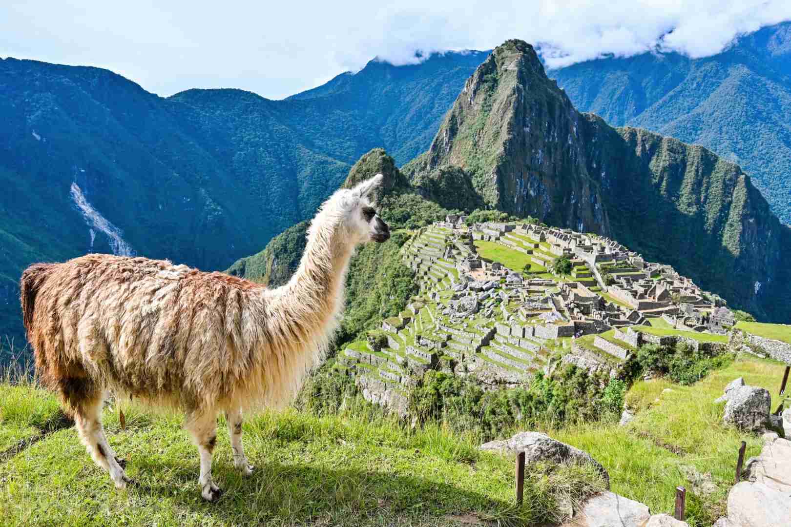 Best Time to Visit Machu Picchu: Avoiding the Rainy Season for Full Experience