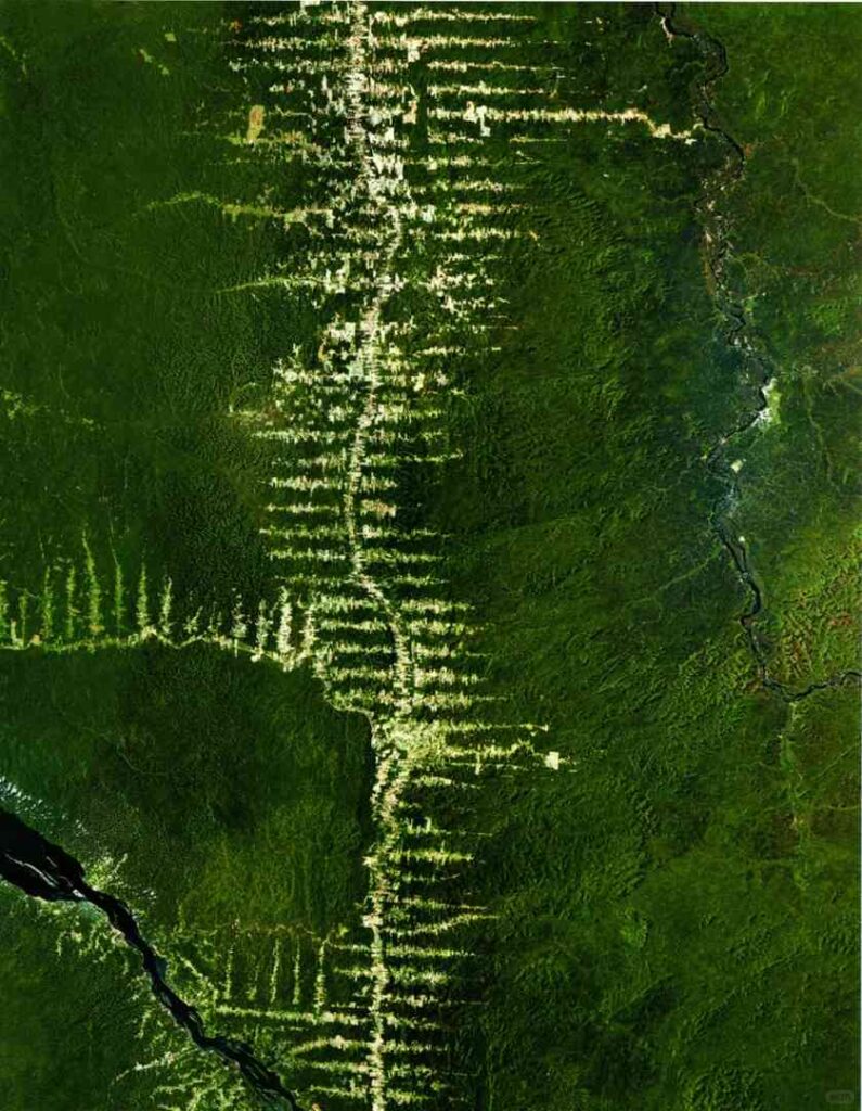 Brazil Deforestation: God’s Eye View of Environmental Impact