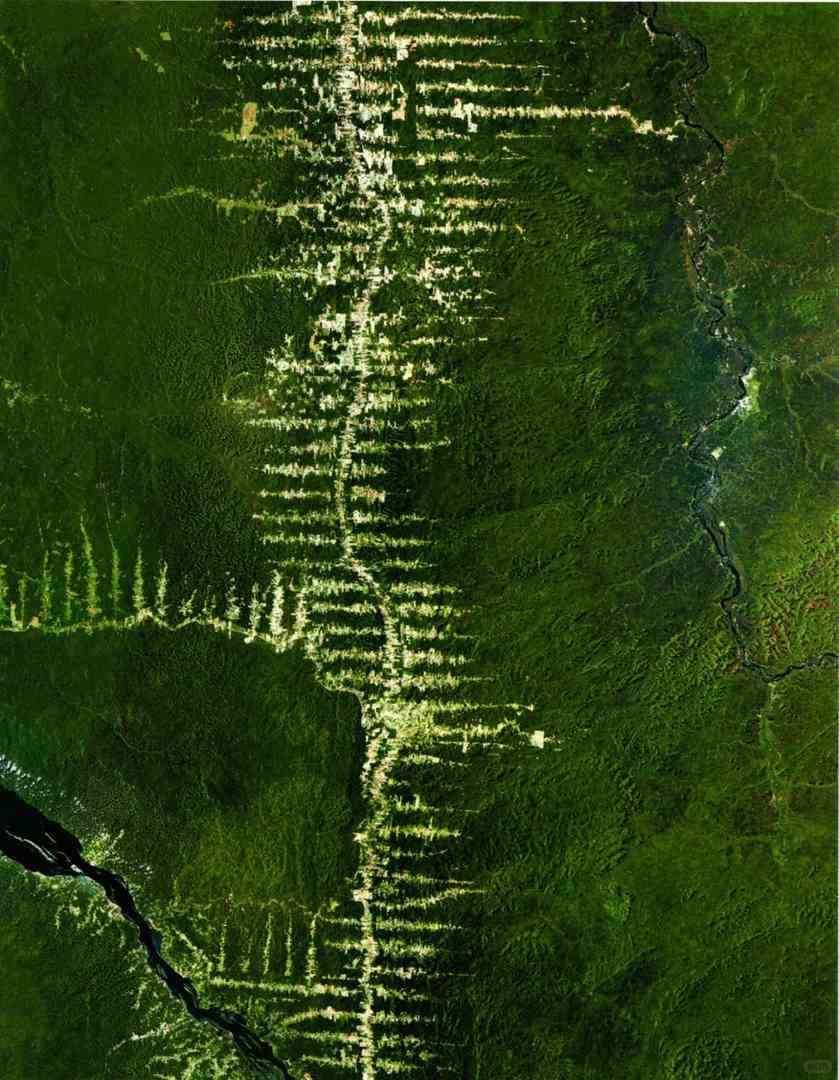 Déforestation au Brésil : Vue aérienne de l'impact environnemental