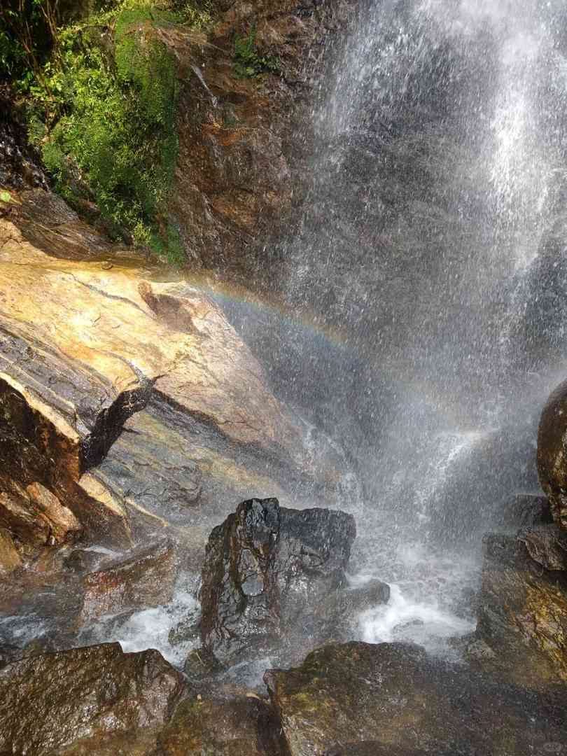 Brazil 🇧🇷 How to Embrace the Wild Man Lifestyle in the Amazon