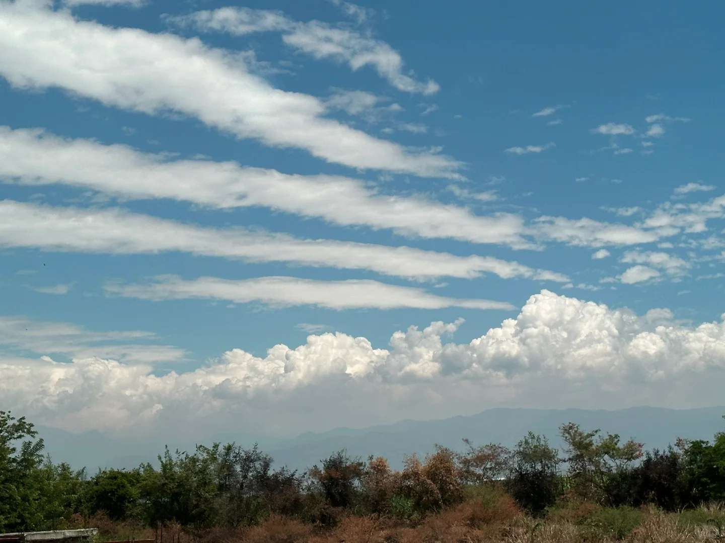 Cali, Colombia | Discover the Vibrant City and Its Rich Record Culture