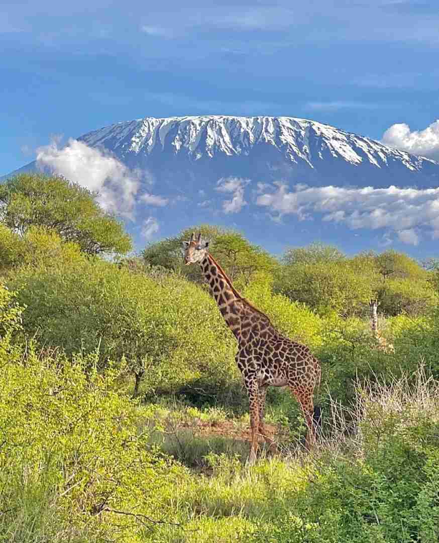 Climbing Kilimanjaro: A Detailed Travel Guide for First-Timers