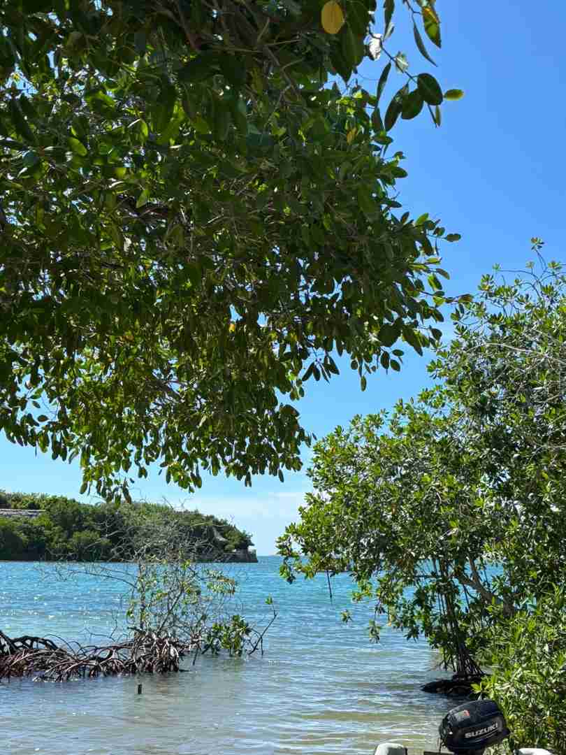 Colombia Cartagena Solo Trip Guide: Explore Safely with Tips