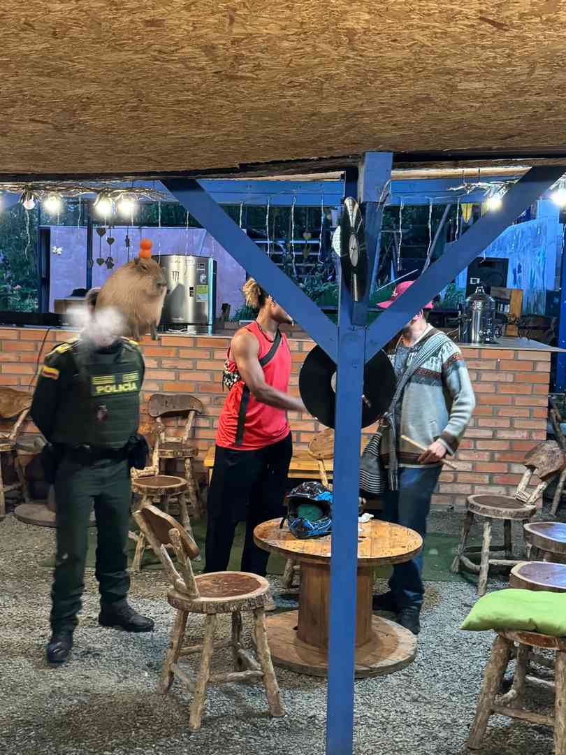 Colombia Faces Threats from Powerful Drug Lords, Passport Issues Explained
