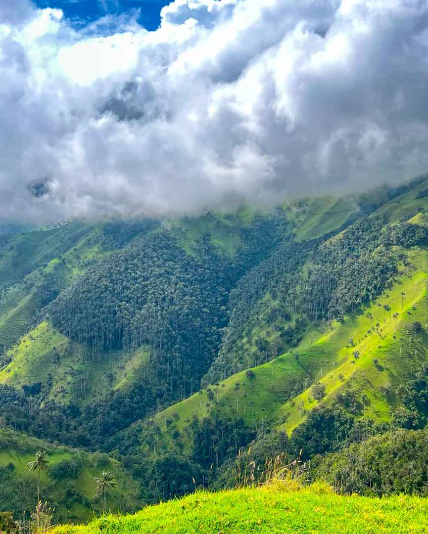 Colombia Simple Impression 2023 P7 Salento: Travel Guide for Eco-Tours