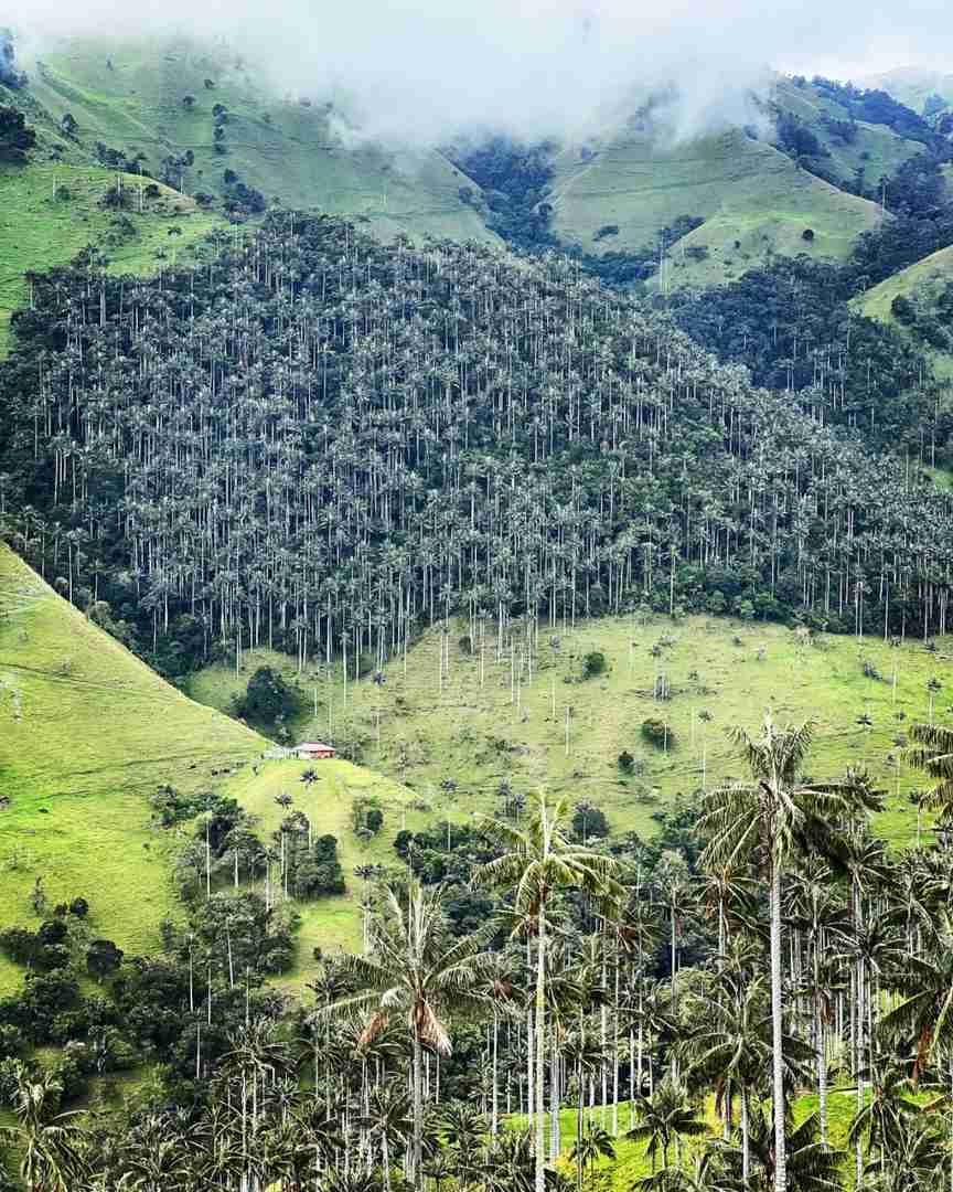 Colombia Simple Impression 2023 P7 Salento: Travel Guide for Eco-Tours