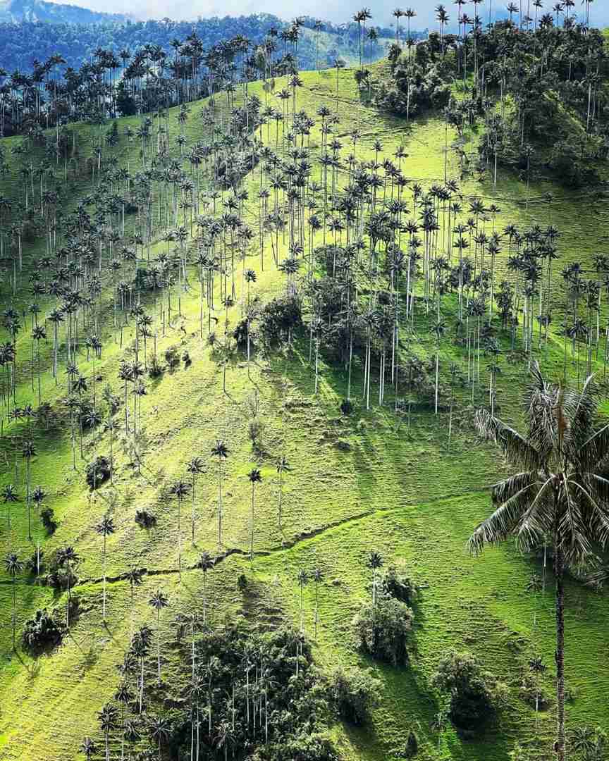 Colombia Simple Impression 2023 P7 Salento: Travel Guide for Eco-Tours