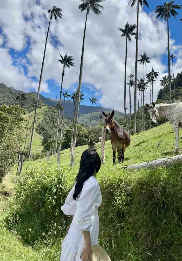 Colombia Travel Experience: Tips for First-Time Visitors