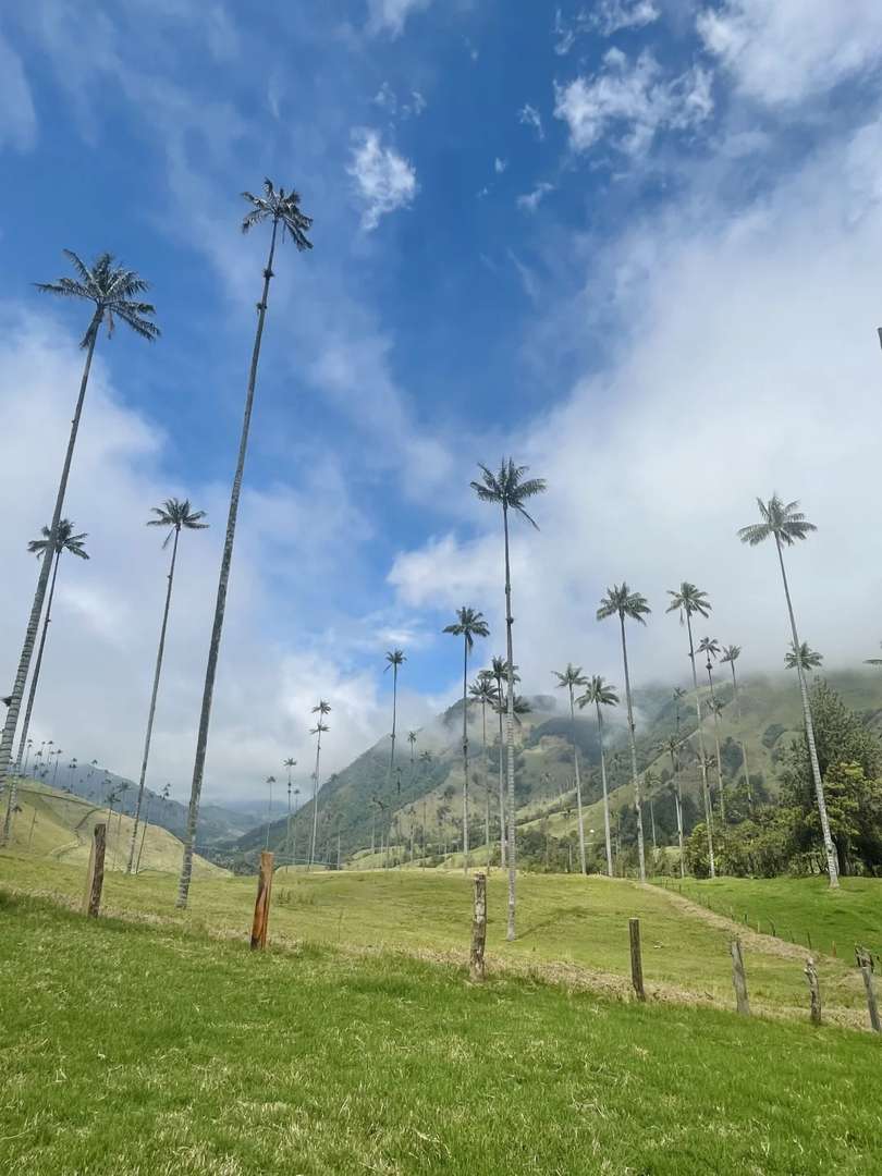 Colombia Travel: Hiking Guide to Salento & Cocora Valley Adventure