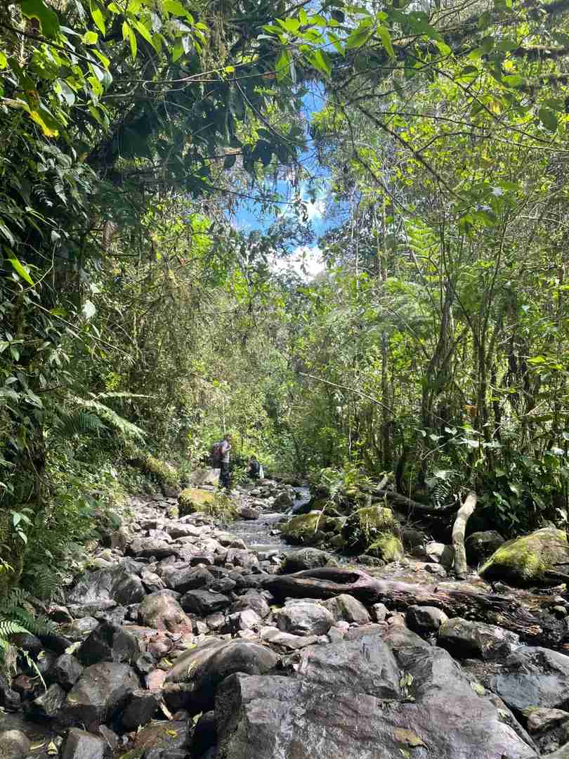 Colombia Travel: Hiking Guide to Salento & Cocora Valley Adventure