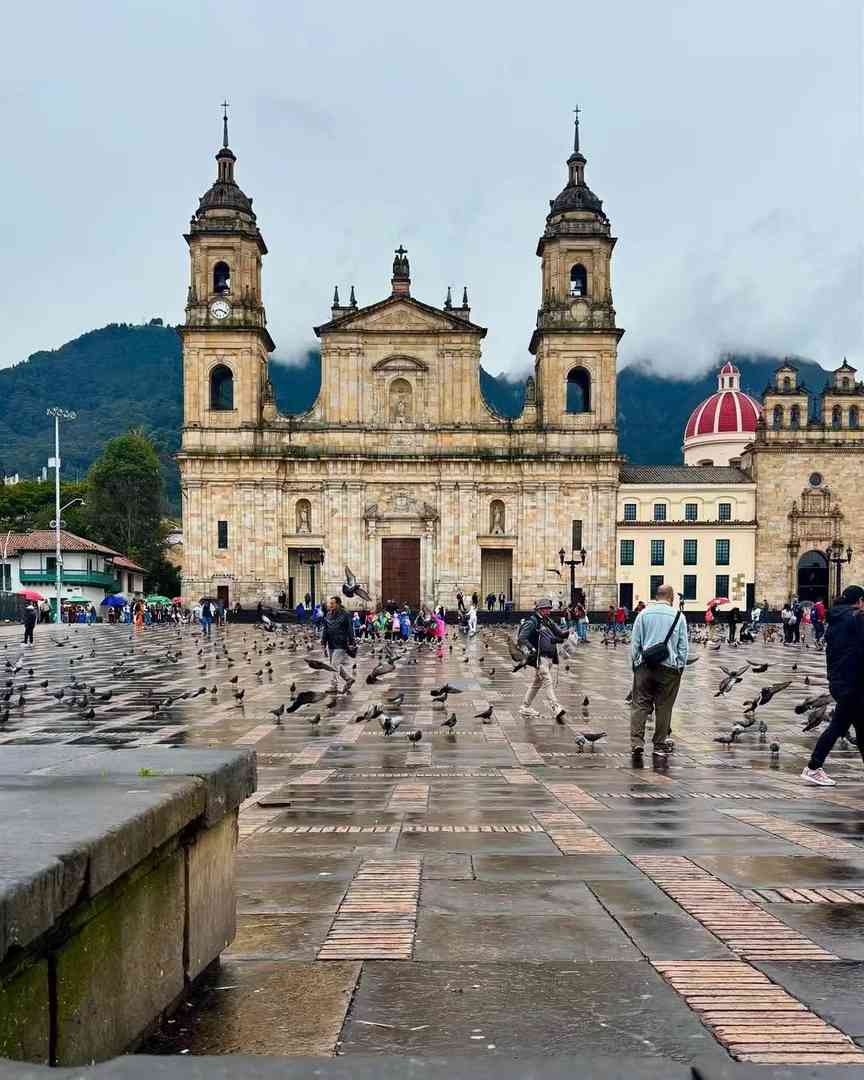 Colombian Twin Cities Tour: Discover the Magic and Reality in Mountainous Medellín and Manizales