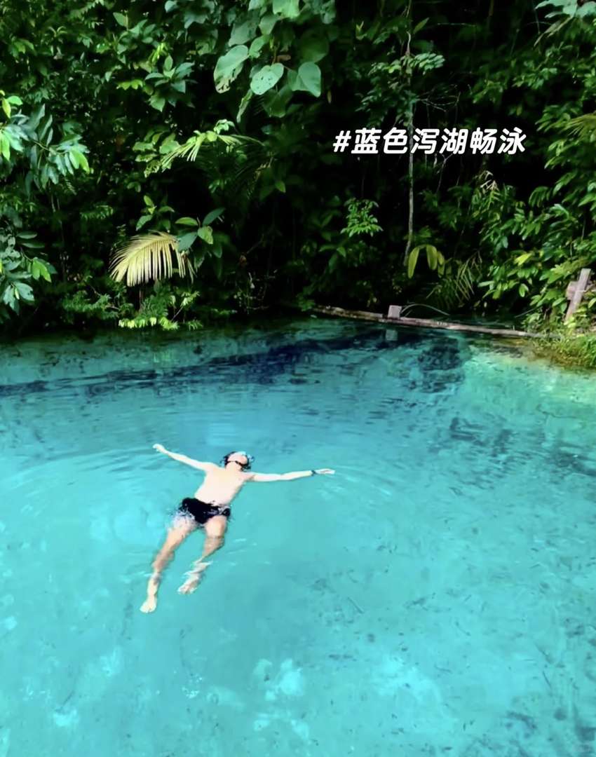 Comprehensive Amazon Rainforest Guide for Eco Travel Enthusiasts